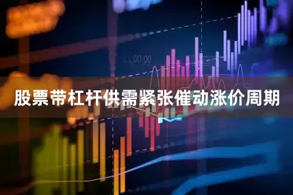 股票带杠杆供需紧张催动涨价周期