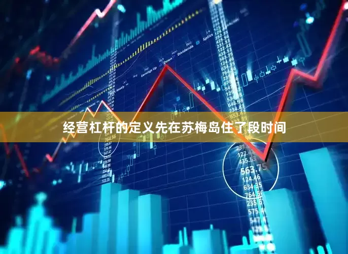 经营杠杆的定义先在苏梅岛住了段时间